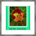 Music Awards #82 Framed Print