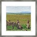 Safari In Kenya Africa #9 Framed Print