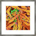 Streptococcus Bacteria #9 Framed Print