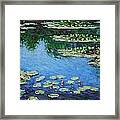 Water Lilies  #9 Framed Print