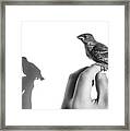 A Bird On The Hand Framed Print