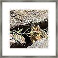 A Bouquet For You Framed Print