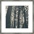 A Breath Of Fresh Air Framed Print