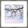 A Breathing Too Quiet To Hear Framed Print