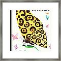 Metamorphosis Framed Print