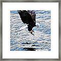 A Catch Of Life Framed Print