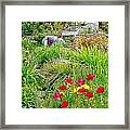 A City Garden Framed Print