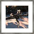 A Cold Welcome Framed Print
