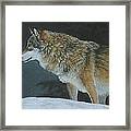 A Cold Winter's Night Framed Print