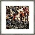 A Cowgirls Best Friend Framed Print