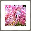 A Crowd Of Tulips Framed Print