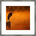 A Cry In The Mist Framed Print