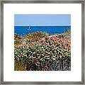 A Day At The Beach Framed Print
