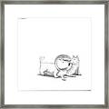 A Dog With A Neck Cone Is Having His Head Framed Print