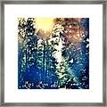A Face In The Trees , Taken Last Summer Framed Print
