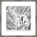 A Family Is Lost In The Depths Of A Jungle Framed Print
