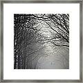 A Few Of My Favorite Things Trees In Fog Framed Print