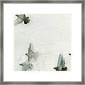 A Flock Of Pigeons 1 Watercolor Painting Of Birds Framed Print