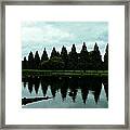 A Gaggle Of Pines Framed Print