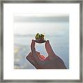 A Gift Of The Sea Framed Print
