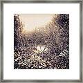 A Glimpse Of The Creek Through The Framed Print