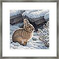 A Good Place - Bunny Framed Print
