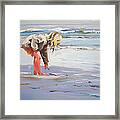 A Great Shell Framed Print
