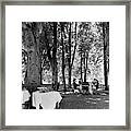 A Group Of People Eating Lunch Under Trees Framed Print