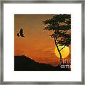 A Hawk In The Sunset Framed Print