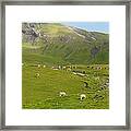 A Hiking Trail Framed Print