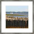A Lazy Morning Along The Mighty Cape Fear River Framed Print