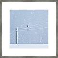 A Long Day In Winter Framed Print