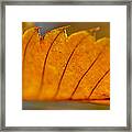 A Memory Of The Heart Framed Print