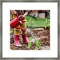 A Midsection Of Portrait Of Cute Small Child Outdoors Gardening. Framed Print