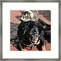 A Mouse On A Cat On A Dog In Santa Framed Print
