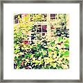 A Natural Screen - Front Bay Window Framed Print