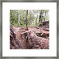 A New View From The Woods Framed Print
