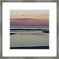 A One Seagull Sunrise Framed Print
