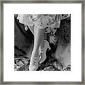 A Pair Of White Shoes Framed Print