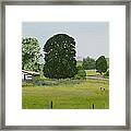 And In Her Harmony Of Varied Greens Framed Print