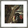 A Peacock Turkey Rabbits And Cockerel In A Landscape Framed Print