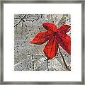 A Perfect Fall Red Framed Print