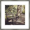 A Place For Quiet Contemplation Framed Print