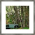 A Place To Sit Framed Print