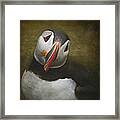 A Portrait Of The Clown Of The Sea Framed Print
