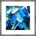 A Q U A Blue And Green Framed Print