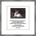 A Rabbit And An Angel Christmas Story Framed Print
