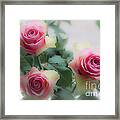 A Rose And A Rose And A Rose Framed Print