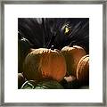 A Rush Of Painted Pumpkins Framed Print