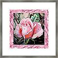 A Single Rose Make Me Pink Framed Print